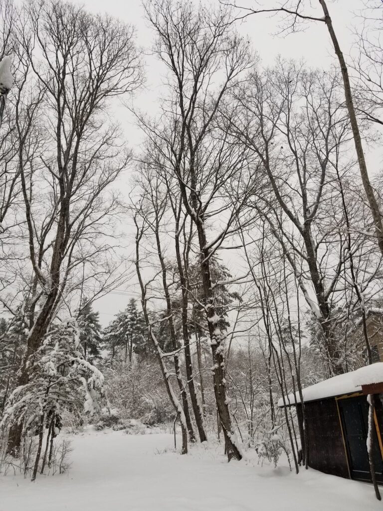 追分の雪景色